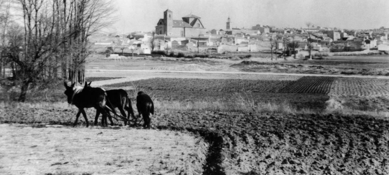 Camunas Casa Besana 빌라 외부 사진